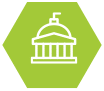 Government Icon