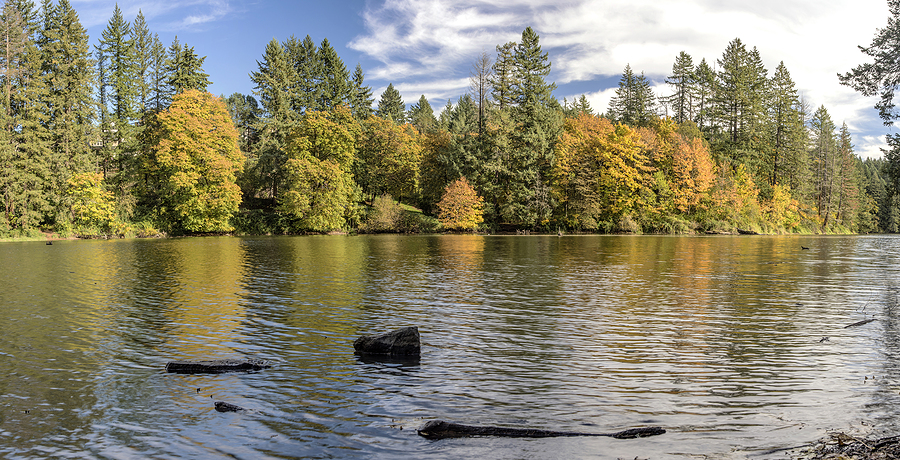 Lacamas Lake nature panorama in Camas Washington, part of the DataSafe service area.