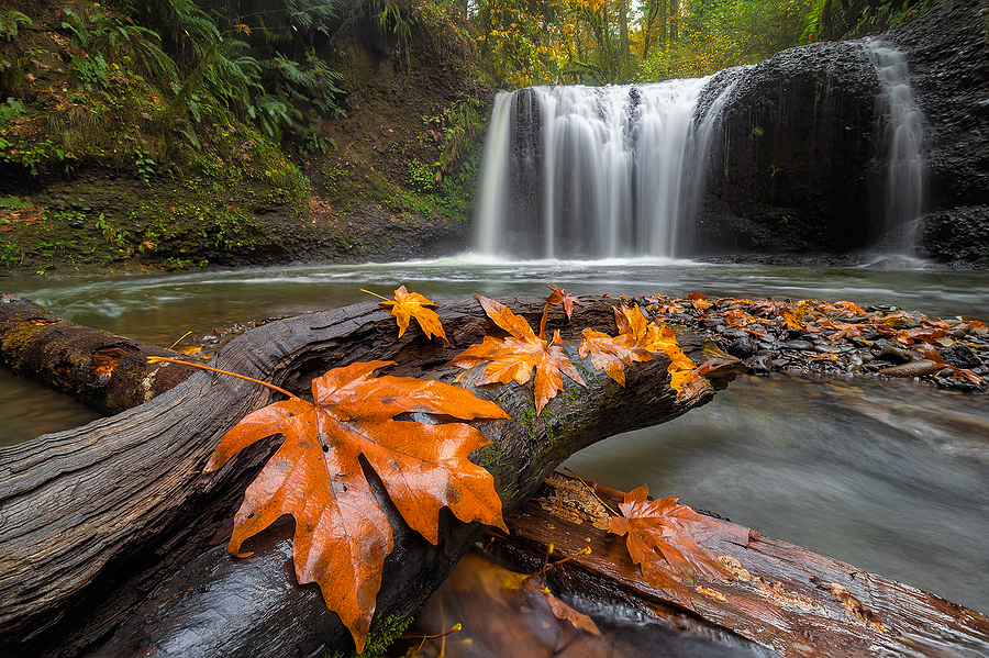 Hidden Falls in Clackamas Oregon, part of the DataSafe service area.