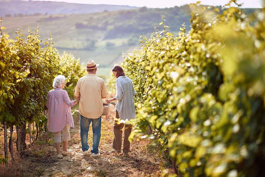 Happy family walking in between rows of vines in Wilsonville, OR